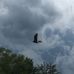 Patty Sprague - Facebook
