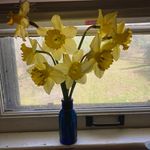 Patty Stewart - @pattystewart880 - Instagram