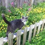 Patty Stewart - @patty.stewart.96 - Instagram