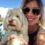 Patty Stone - @patty.stone.poodle - Instagram