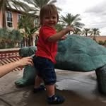 Patty Stratton - @stratton.patty - Instagram
