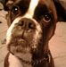 Patti Sutton - Facebook