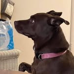 Patty Gendek Sutton - @suttonpattygendek - Instagram