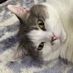 Patty Sutton - @pattysutton73 - Instagram
