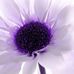 Patty Sutton - Facebook