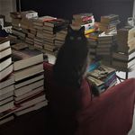Patti & Brad Triplett - @triplettsread - Instagram