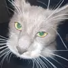 patty_tucker23 - @patty_tucker23 - TikTok