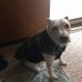 Patty Vaughn - Facebook