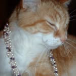Patty Vogler - @mommacatpat9 - Instagram