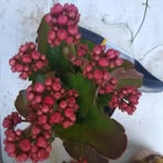 Patty Vogler - Facebook