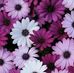 Patty Walker - Facebook