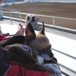 Patty Walker - @altamontranch - Instagram