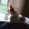Patty Walker - @patty.walker2 - TikTok