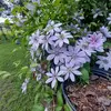 Patty Warren691 - @pattywarren83 - TikTok