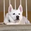 Patty Watkins678 - @pattywatkins678 - TikTok