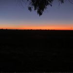Patty Watkins - @pwatkinsranch - Instagram