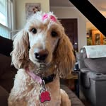 Patty Watkins-Marshall - @pattywatkinsmarshall - Instagram