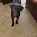 Patty Watson - Facebook