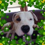Patty Watson - @pattiwatson1234 - Instagram