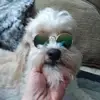 Patty Watson - @pattywatson3 - TikTok