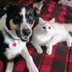 Patty Watson - @patty.watson.397 - Instagram