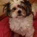 Patty Weber - Facebook