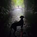 Patty Weber - @patty.weber.1959 - Instagram