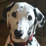 Patty Weber - @paweber1021 - Instagram