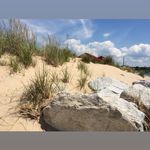 Patty Weir - @pmweir - Instagram