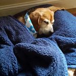 Patty Weir - @weirpatty - Instagram