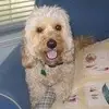pattyweissgallo - @pattyweissgallo - TikTok