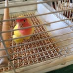 Patty Welch - Facebook