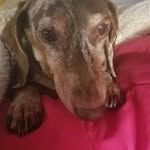 Patty Welch - @pattywelch8 - Instagram