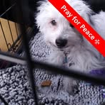 Patty Welch - Facebook
