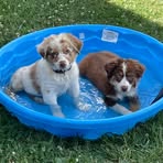 Patty Welch - Facebook