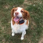Patty Welch - @welchpatricia3 - Instagram