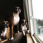 Patty Welch Holaday - @holaday4 - Instagram