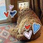 Patty Thompson Weller - @patty.weller - Instagram