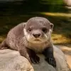 pattyweller870 - @pattyweller870 - TikTok