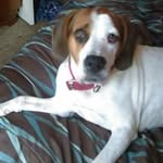 Patty Westfall - @westfallpatty - Instagram