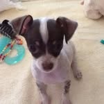 @pattywestfall39 - Instagram