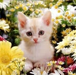 Patty Westover - Facebook