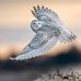 Patty Whitfield Thomas - Facebook