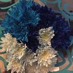 Patty Whiting - @hildegerdnaivara - Instagram