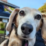 Patty Whitney - @pattywhitney87 - Instagram
