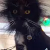 PattyWill999 - @pattywill999 - TikTok