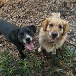 Patty & Winnie - @pattypoo_andwinnietoo - Instagram