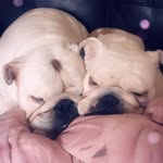 Patty&Winnie - @the_two_squishies - Instagram