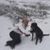 Patty Wisdom - Facebook