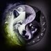 Patty Wolf - Facebook